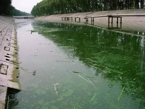 城市黑臭河道如何治理?河道黑臭水體治理思路(圖1) 城市黑臭河道如何治理?河道黑臭水體治理思路(圖1)