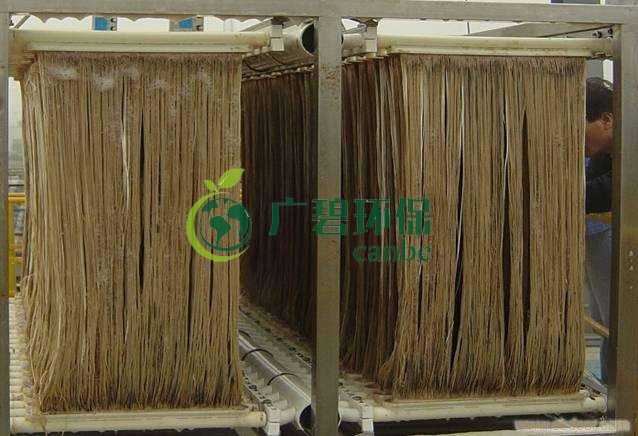 MBR膜如何選型?膜組件如何清洗?MBR知識(shí)分享(圖1) MBR膜如何選型?膜組件如何清洗?MBR知識(shí)分享(圖1)