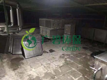 廣州旺旺食品廢水直排，永和河大量魚(yú)類死亡(圖3)