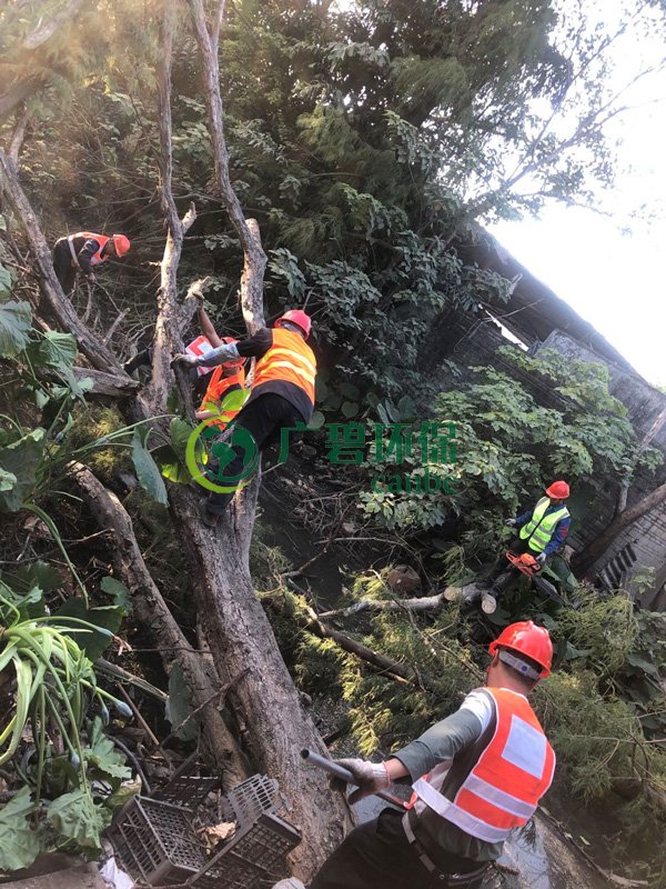 廣碧環(huán)保在順德古鑒涌項(xiàng)目現(xiàn)場(chǎng)召開(kāi)施工生產(chǎn)動(dòng)員大會(huì)(圖3)