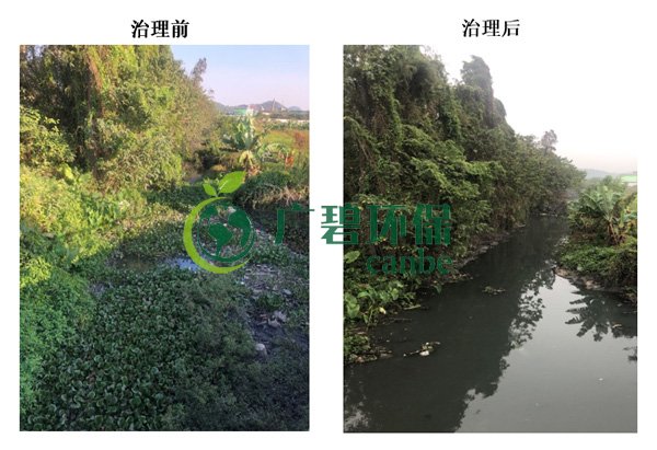 廣碧環(huán)保金陡涌河涌黑臭水體 治理服務(wù)項(xiàng)目順利通過驗(yàn)收(圖7) 廣碧環(huán)保金陡涌河涌黑臭水體 治理服務(wù)項(xiàng)目順利通過驗(yàn)收(圖7)