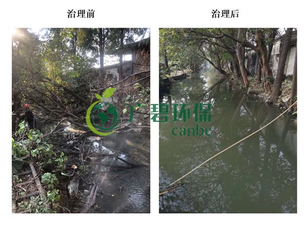 廣碧環(huán)保金陡涌河涌黑臭水體 治理服務(wù)項(xiàng)目順利通過驗(yàn)收(圖4) 廣碧環(huán)保金陡涌河涌黑臭水體 治理服務(wù)項(xiàng)目順利通過驗(yàn)收(圖4)