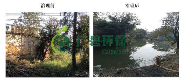 廣碧環(huán)保金陡涌河涌黑臭水體 治理服務(wù)項(xiàng)目順利通過驗(yàn)收(圖5) 廣碧環(huán)保金陡涌河涌黑臭水體 治理服務(wù)項(xiàng)目順利通過驗(yàn)收(圖5)